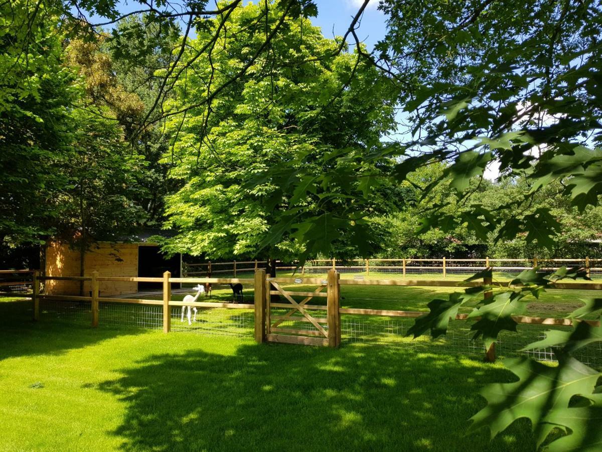 Вілла The Two Oaks - Private Garden For Guests Hertsberge Екстер'єр фото