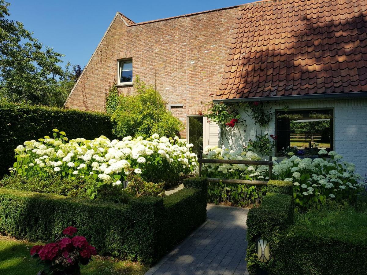 Вілла The Two Oaks - Private Garden For Guests Hertsberge Екстер'єр фото